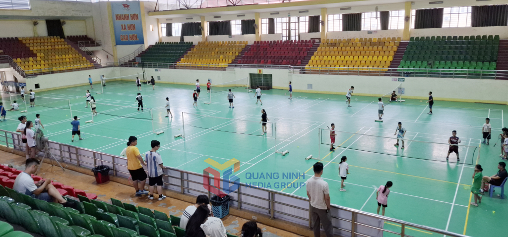HAVIC thi công các công trình Nhà đa năng, Nhà thi đấu thể thao